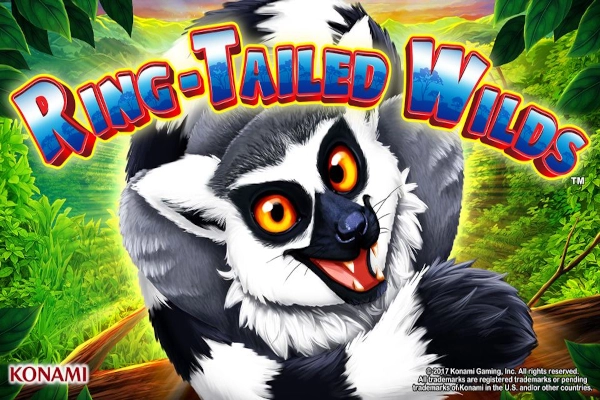 Ring Tailed Wilds